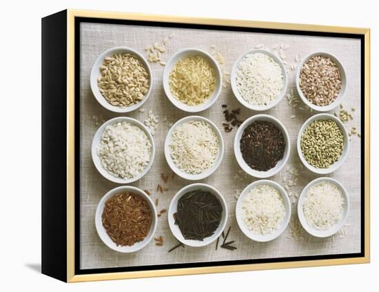 Various Types of Rice in Small Bowls-Ingvar Eriksson-Framed Premier Image Canvas