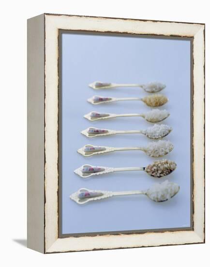 Various Types of Rice on Asian Spoons-Alexander Van Berge-Framed Premier Image Canvas