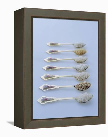 Various Types of Rice on Asian Spoons-Alexander Van Berge-Framed Premier Image Canvas