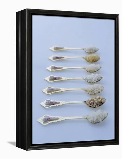 Various Types of Rice on Asian Spoons-Alexander Van Berge-Framed Premier Image Canvas