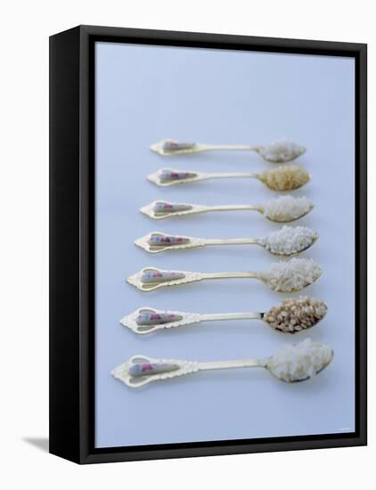 Various Types of Rice on Asian Spoons-Alexander Van Berge-Framed Premier Image Canvas