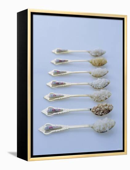 Various Types of Rice on Asian Spoons-Alexander Van Berge-Framed Premier Image Canvas