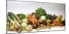 Various Types of Root Vegetables, Cabbages and Leeks-Eising Studio - Food Photo and Video-Mounted Photographic Print
