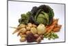 Various Types of Root Vegetables, Turnips and Cabbage-Eising Studio - Food Photo and Video-Mounted Photographic Print