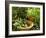 Various Types of Sage-Roland Krieg-Framed Photographic Print