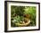 Various Types of Sage-Roland Krieg-Framed Photographic Print