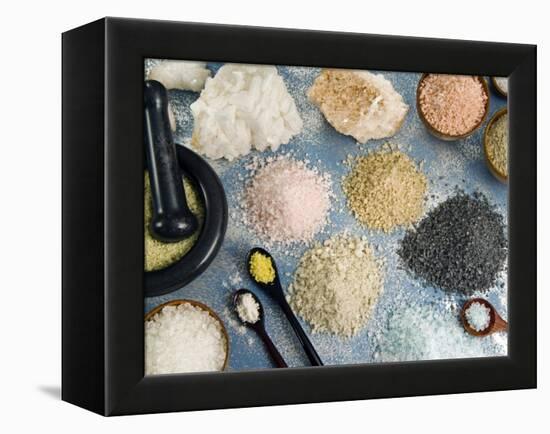 Various Types of Salt-Nico Tondini-Framed Premier Image Canvas