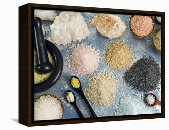 Various Types of Salt-Nico Tondini-Framed Premier Image Canvas