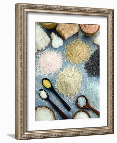 Various Types of Salt-Nico Tondini-Framed Photographic Print