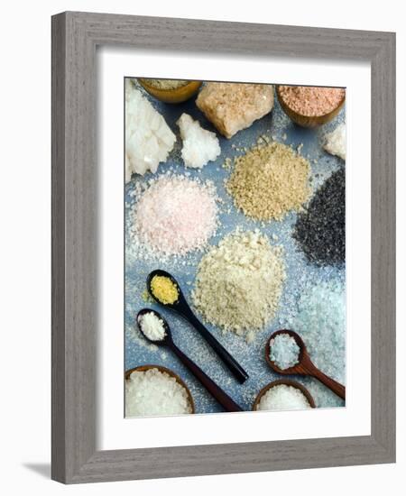 Various Types of Salt-Nico Tondini-Framed Photographic Print