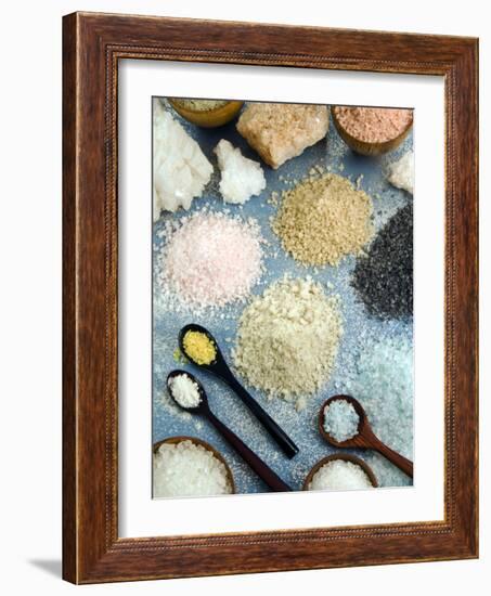 Various Types of Salt-Nico Tondini-Framed Photographic Print