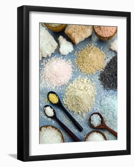 Various Types of Salt-Nico Tondini-Framed Photographic Print