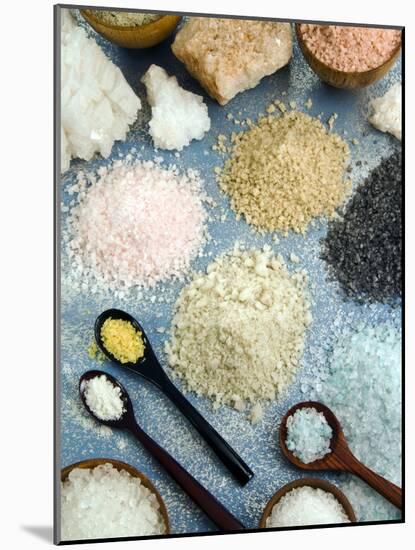 Various Types of Salt-Nico Tondini-Mounted Photographic Print