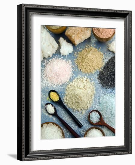 Various Types of Salt-Nico Tondini-Framed Photographic Print