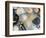 Various Types of Salt-Nico Tondini-Framed Photographic Print