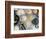 Various Types of Salt-Nico Tondini-Framed Photographic Print