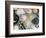 Various Types of Salt-Nico Tondini-Framed Photographic Print