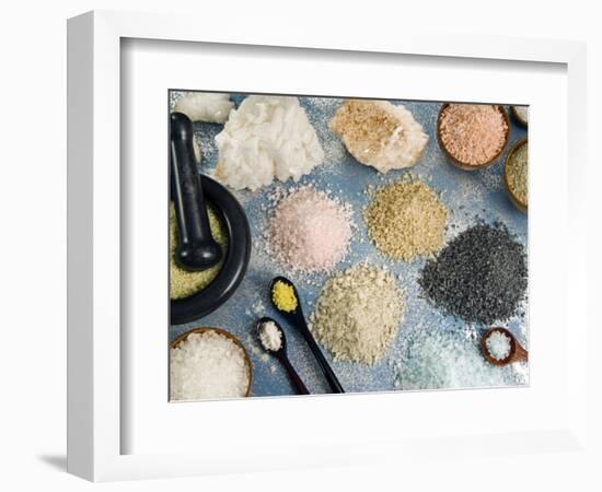 Various Types of Salt-Nico Tondini-Framed Photographic Print