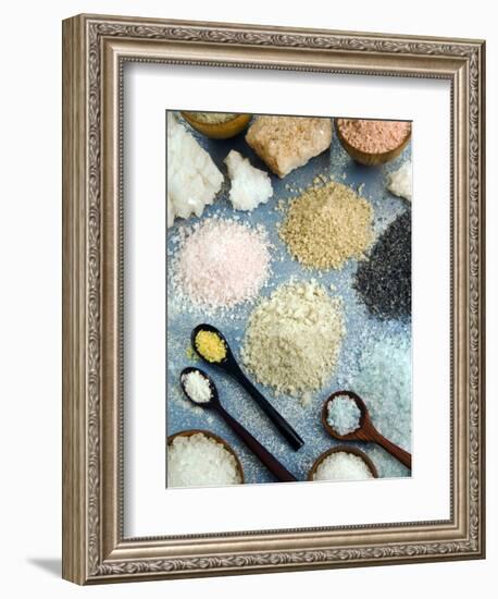 Various Types of Salt-Nico Tondini-Framed Photographic Print