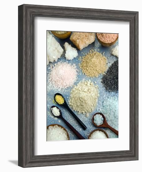 Various Types of Salt-Nico Tondini-Framed Photographic Print