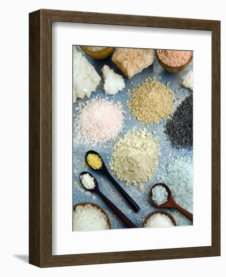 Various Types of Salt-Nico Tondini-Framed Photographic Print