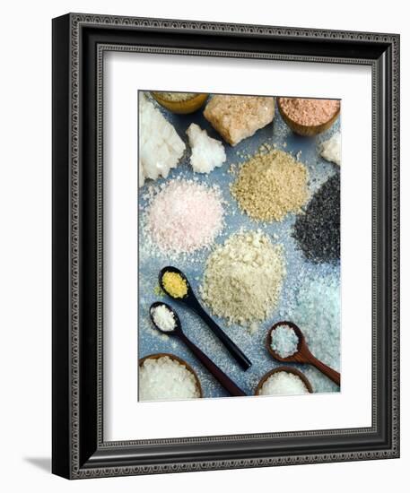 Various Types of Salt-Nico Tondini-Framed Photographic Print