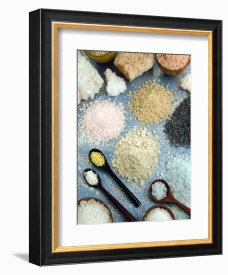 Various Types of Salt-Nico Tondini-Framed Photographic Print