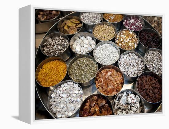 Various Types of Sonf, Mouth Freshener, Sonf Stall in Market, Kolkata, West Bengal, India-Annie Owen-Framed Premier Image Canvas