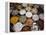 Various Types of Sonf, Mouth Freshener, Sonf Stall in Market, Kolkata, West Bengal, India-Annie Owen-Framed Premier Image Canvas