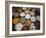 Various Types of Sonf, Mouth Freshener, Sonf Stall in Market, Kolkata, West Bengal, India-Annie Owen-Framed Photographic Print