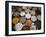 Various Types of Sonf, Mouth Freshener, Sonf Stall in Market, Kolkata, West Bengal, India-Annie Owen-Framed Photographic Print