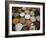 Various Types of Sonf, Mouth Freshener, Sonf Stall in Market, Kolkata, West Bengal, India-Annie Owen-Framed Photographic Print