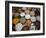 Various Types of Sonf, Mouth Freshener, Sonf Stall in Market, Kolkata, West Bengal, India-Annie Owen-Framed Photographic Print