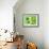 Various Types of Sprouts and Sprouted Seeds-Jan-peter Westermann-Framed Photographic Print displayed on a wall