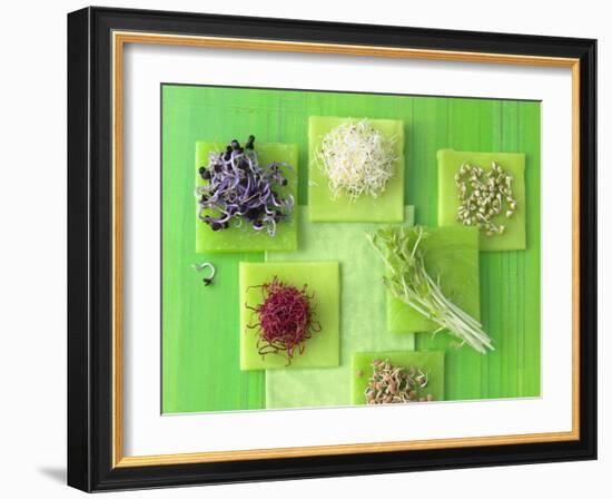 Various Types of Sprouts and Sprouted Seeds-Jan-peter Westermann-Framed Photographic Print