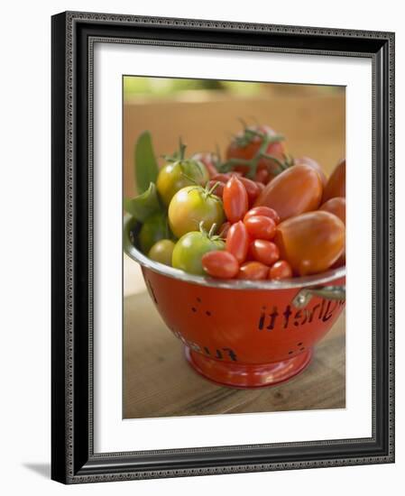 Various Types of Tomatoes in Colander on Table Out of Doors-null-Framed Photographic Print