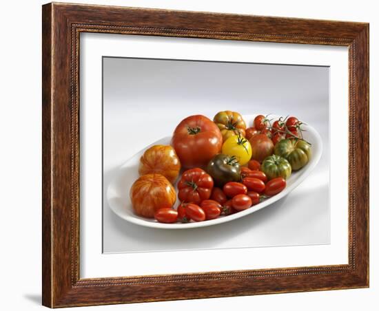 Various Types of Tomatoes on a Platter-Karl Newedel-Framed Photographic Print