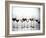 Various Types of Wine in Glasses-null-Framed Photographic Print