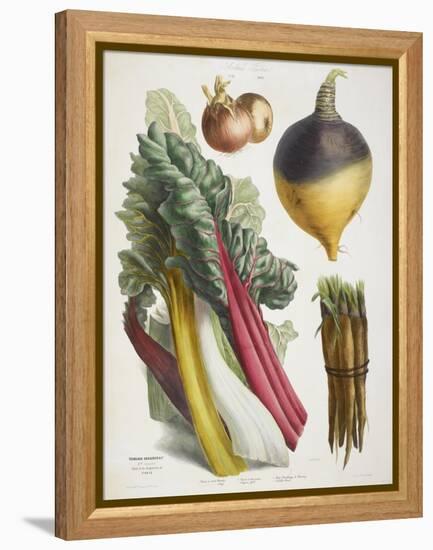 Various Vegetables Including Carrots, Onions, Swede and Chard-null-Framed Premier Image Canvas