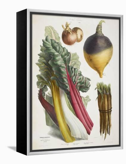 Various Vegetables Including Carrots, Onions, Swede and Chard-null-Framed Premier Image Canvas