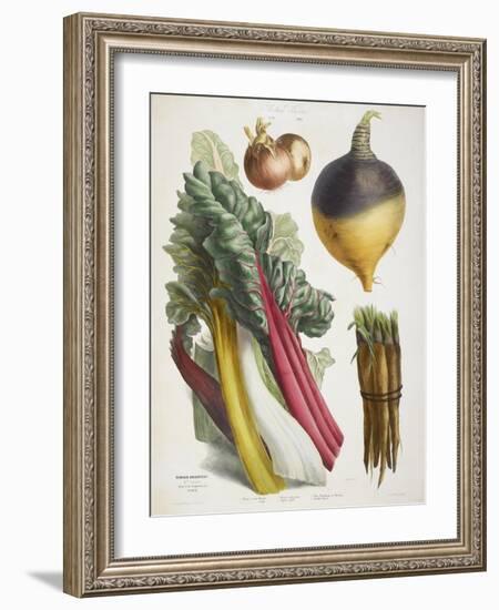 Various Vegetables Including Carrots, Onions, Swede and Chard-null-Framed Giclee Print