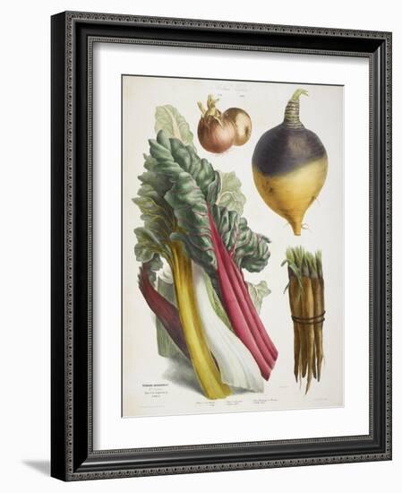 Various Vegetables Including Carrots, Onions, Swede and Chard-null-Framed Giclee Print