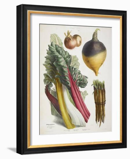 Various Vegetables Including Carrots, Onions, Swede and Chard-null-Framed Giclee Print