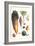 Various Vegetables-Philippe-Victoire Leveque de Vilmorin-Framed Art Print