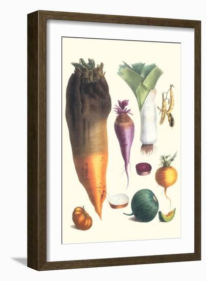 Various Vegetables-Philippe-Victoire Leveque de Vilmorin-Framed Art Print