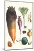 Various Vegetables-Philippe-Victoire Leveque de Vilmorin-Mounted Art Print