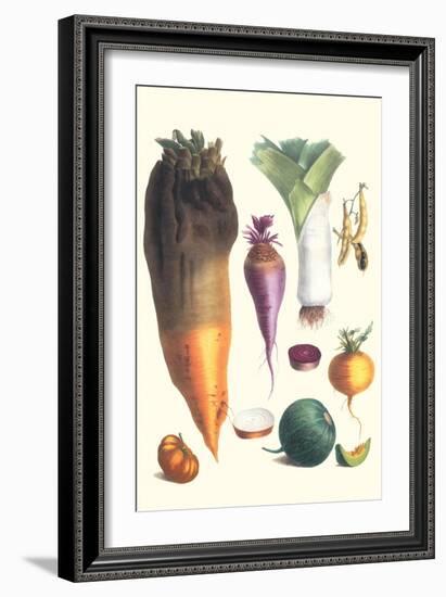 Various Vegetables-Philippe-Victoire Leveque de Vilmorin-Framed Art Print