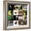 Various Wild Animals Composition-Aaron Amat-Framed Photographic Print