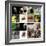 Various Wild Animals Composition-Aaron Amat-Framed Photographic Print