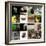 Various Wild Animals Composition-Aaron Amat-Framed Photographic Print